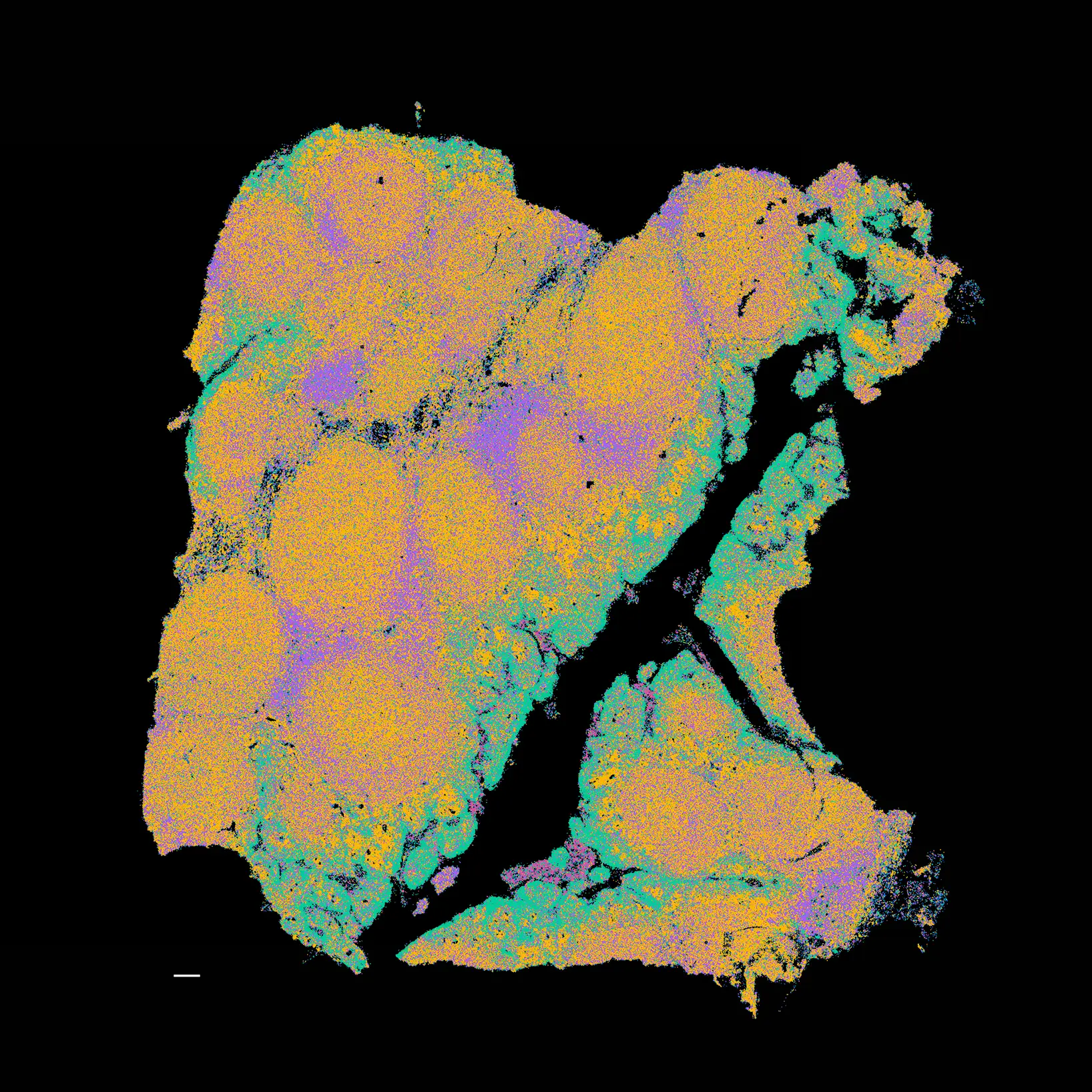 Profile of Hundreds of RNA Genes